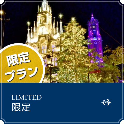 限定